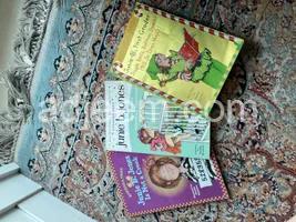 3 books written by Julie B. Jones sold as a pack Age 7-9